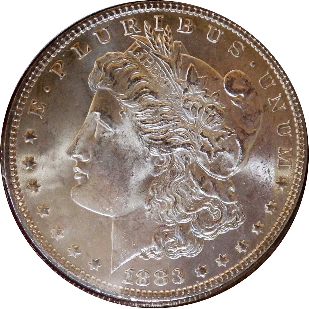 1883-Toned-Morgan-Dollar
